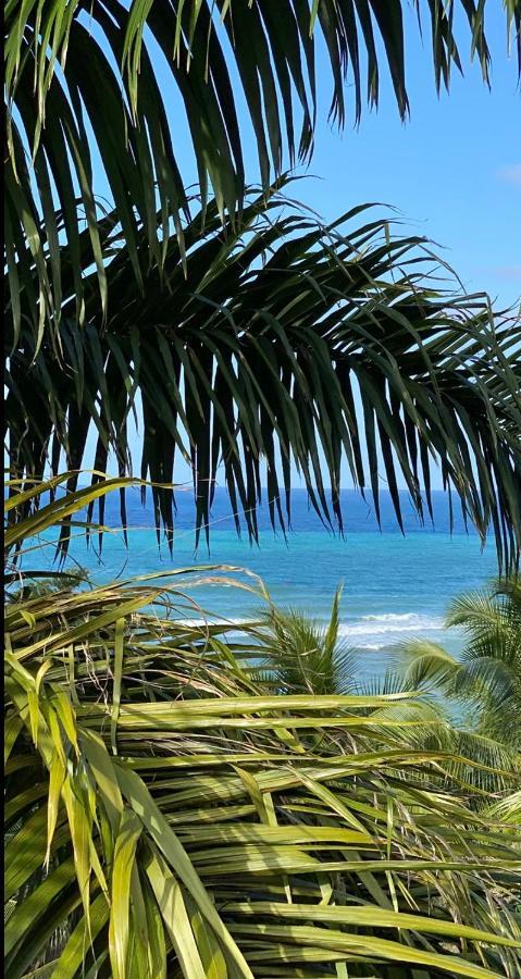 Spring Garden Mobay Resort Montego Bay Eksteriør bilde