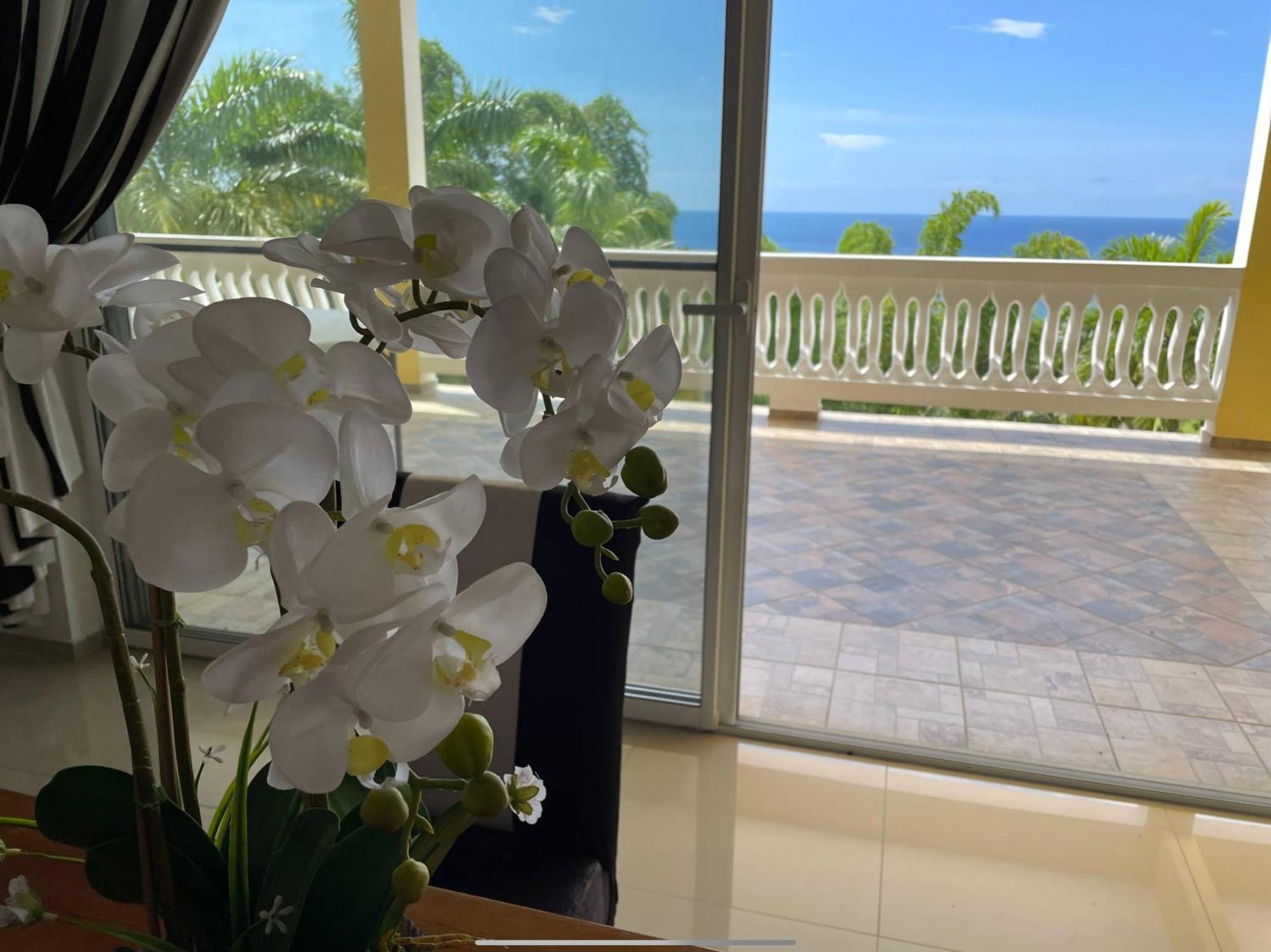 Spring Garden Mobay Resort Montego Bay Eksteriør bilde
